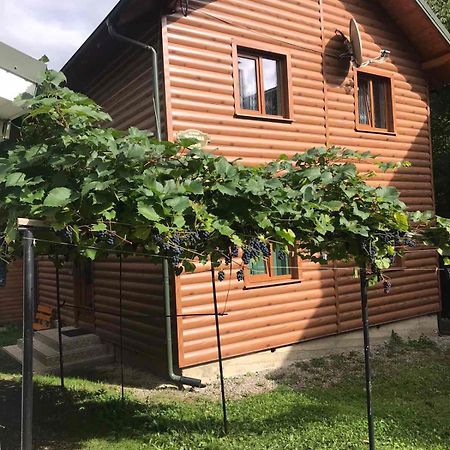 Базилік Hotel Яремче Екстериор снимка