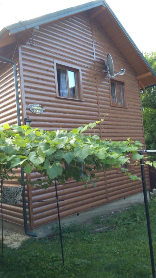 Базилік Hotel Яремче Екстериор снимка