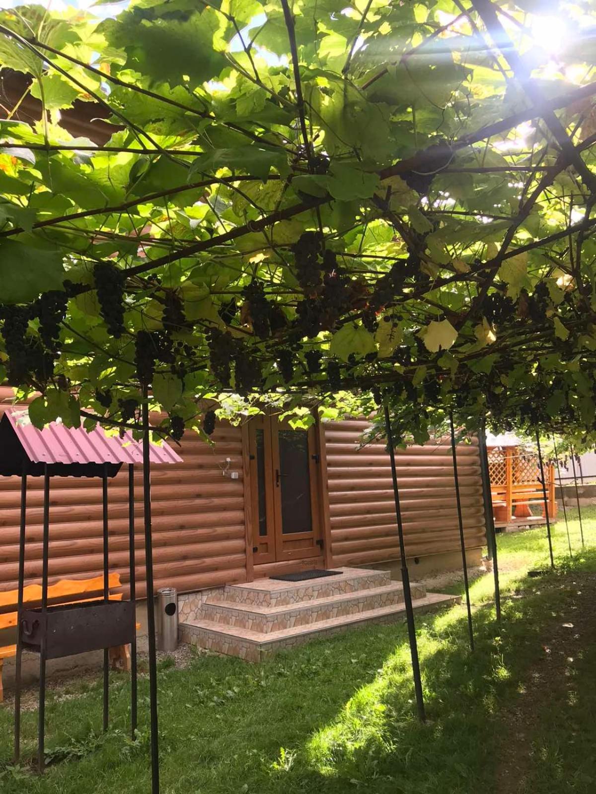 Базилік Hotel Яремче Екстериор снимка