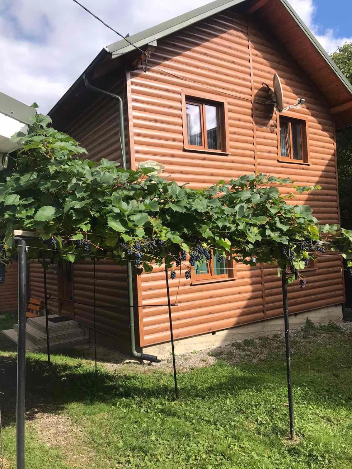 Базилік Hotel Яремче Екстериор снимка
